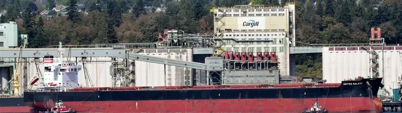 MSXT BELLONA Bulk Carrier IMO 9602394 photo 4