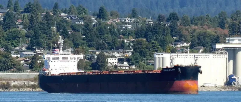MSXT BELLONA Bulk Carrier IMO 9602394 photo 7