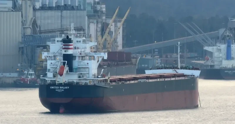 MSXT BELLONA Bulk Carrier IMO 9602394 photo 8