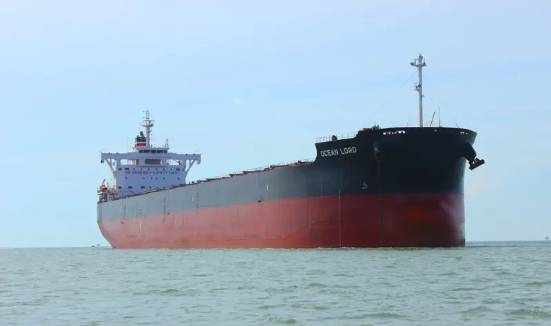 BILLY JIM Bulk Carrier IMO 9602411 photo 2