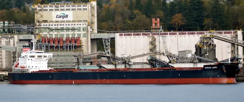 BILLY JIM Bulk Carrier IMO 9602411 photo 3