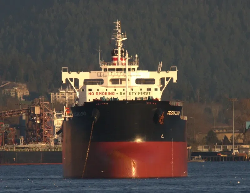 BILLY JIM Bulk Carrier IMO 9602411 photo 4