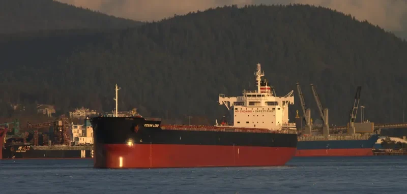 BILLY JIM Bulk Carrier IMO 9602411 photo 5
