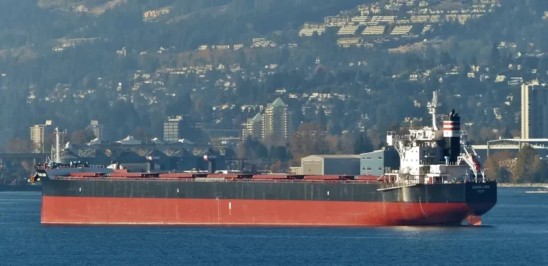 BILLY JIM Bulk Carrier IMO 9602411 photo 6