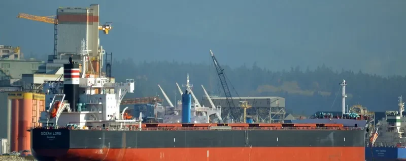 BILLY JIM Bulk Carrier IMO 9602411 photo 7