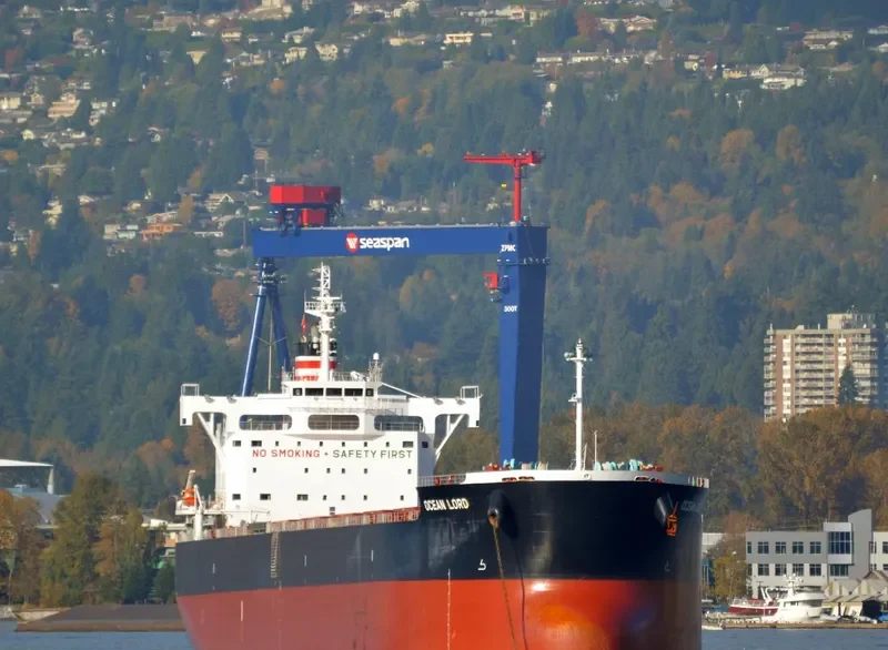 BILLY JIM Bulk Carrier IMO 9602411 photo 8