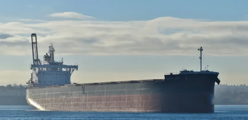 BILLY JIM Bulk Carrier IMO 9602411 photo 9