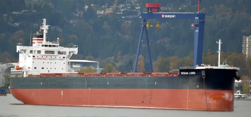 BILLY JIM Bulk Carrier IMO 9602411 photo 10
