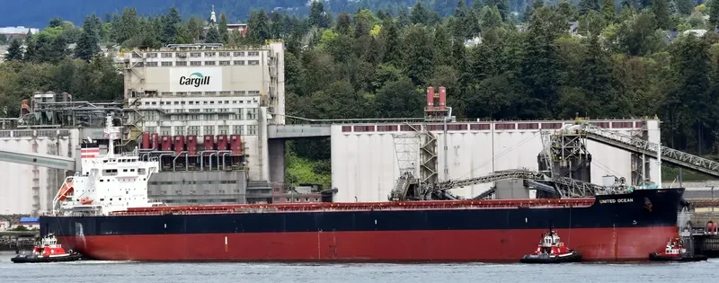 NASAKA Bulk Carrier IMO 9602423
