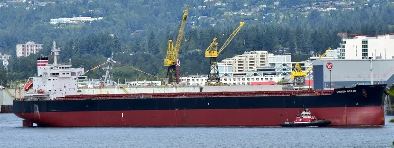 NASAKA Bulk Carrier IMO 9602423 photo 2