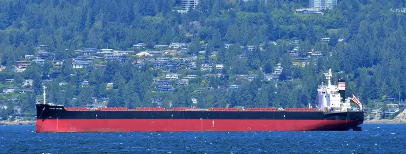 NASAKA Bulk Carrier IMO 9602423 photo 5
