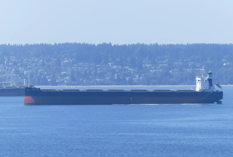 NASAKA Bulk Carrier IMO 9602423 photo 6