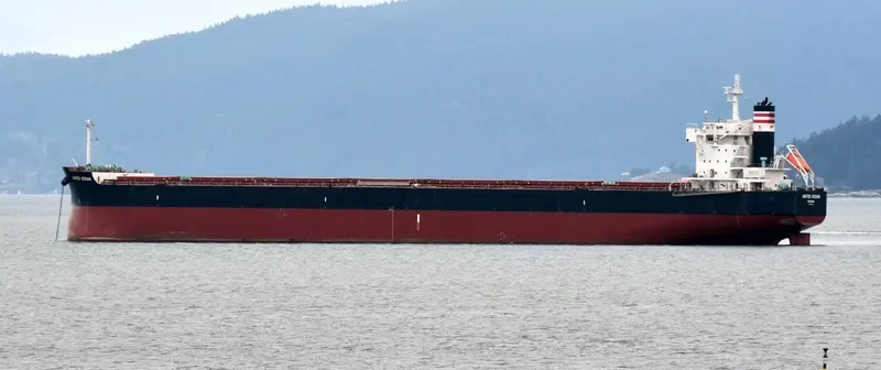 NASAKA Bulk Carrier IMO 9602423 photo 8