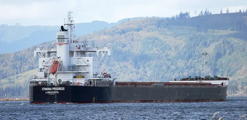 CYMONA PROGRESS Bulk Carrier IMO 9602435