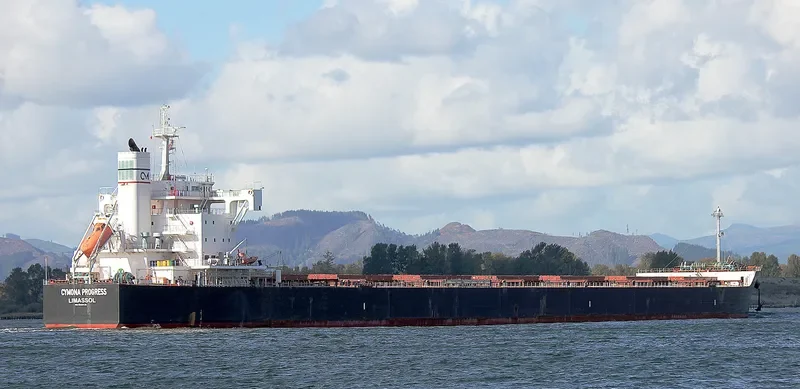 CYMONA PROGRESS Bulk Carrier IMO 9602435 photo 2