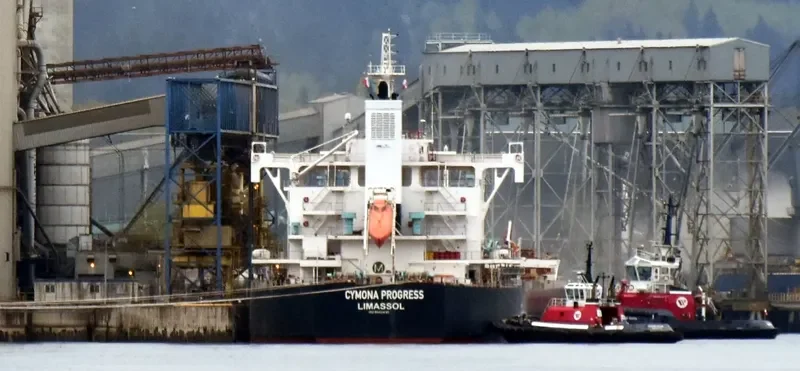 CYMONA PROGRESS Bulk Carrier IMO 9602435 photo 6