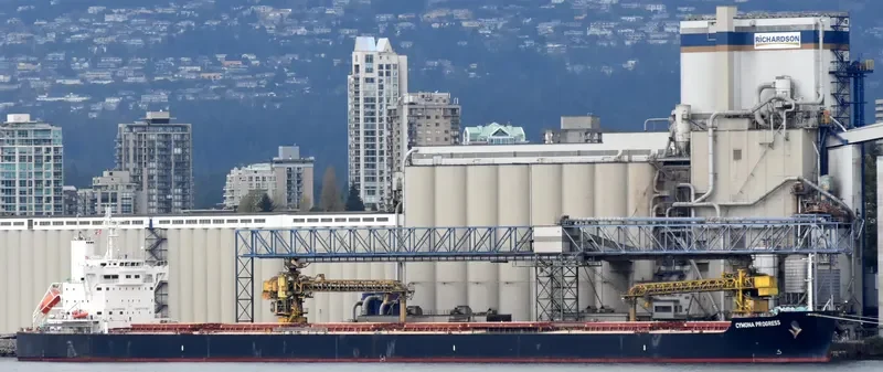 CYMONA PROGRESS Bulk Carrier IMO 9602435 photo 7
