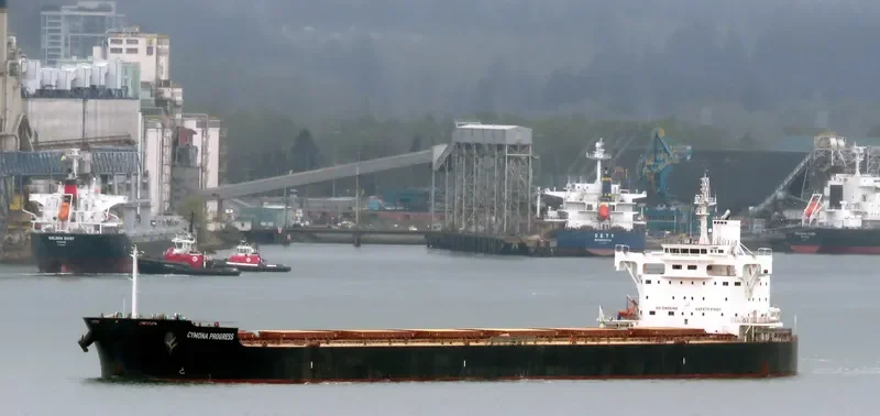 CYMONA PROGRESS Bulk Carrier IMO 9602435 photo 9