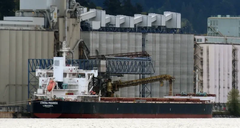 CYMONA PROGRESS Bulk Carrier IMO 9602435 photo 10