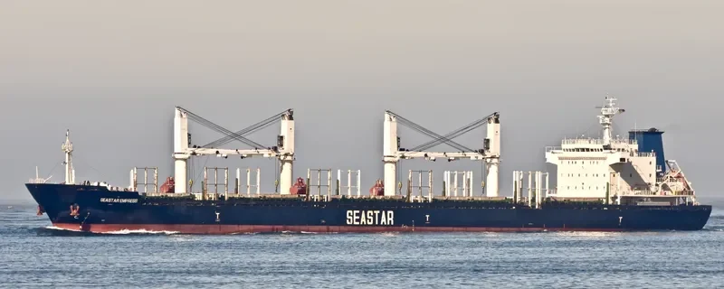 VEGA EVEREST Bulk Carrier IMO 9602693 photo 2