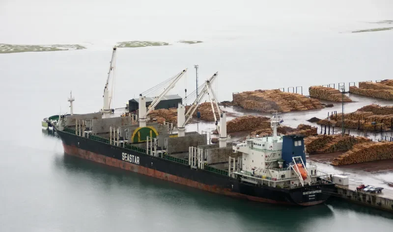 VEGA EVEREST Bulk Carrier IMO 9602693 photo 5