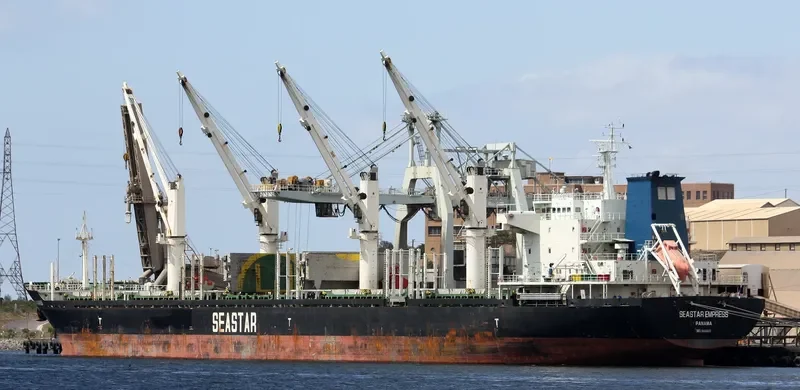 VEGA EVEREST Bulk Carrier IMO 9602693 photo 6