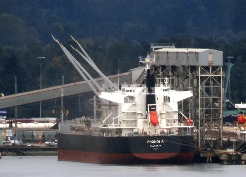 PRONOI R Bulk Carrier IMO 9602746