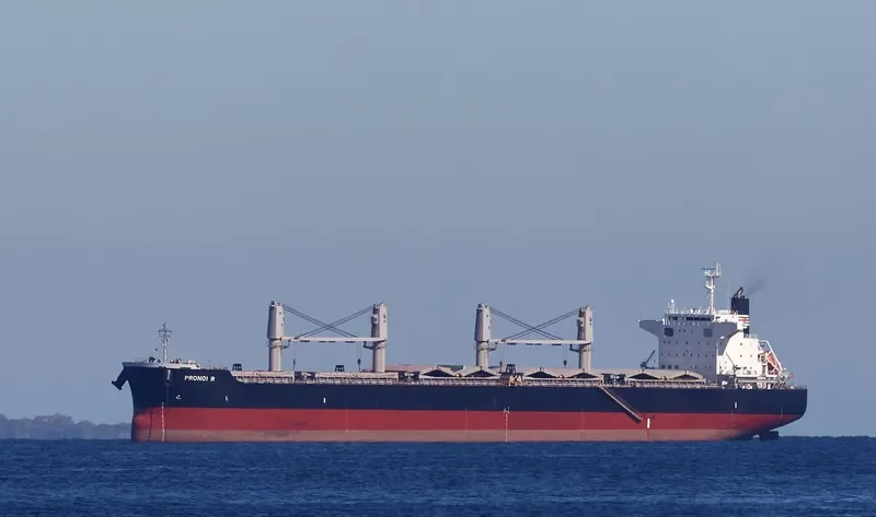 PRONOI R Bulk Carrier IMO 9602746 photo 2
