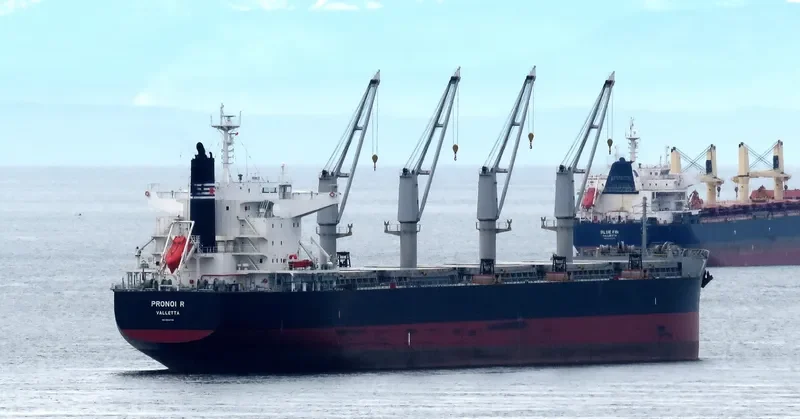 PRONOI R Bulk Carrier IMO 9602746 photo 4