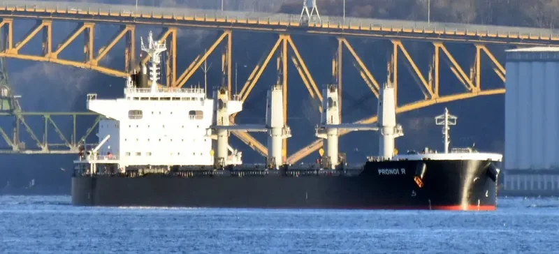 PRONOI R Bulk Carrier IMO 9602746 photo 5