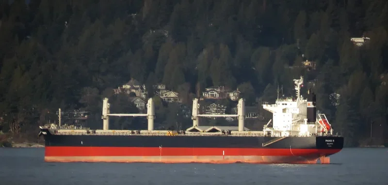 PRONOI R Bulk Carrier IMO 9602746 photo 7