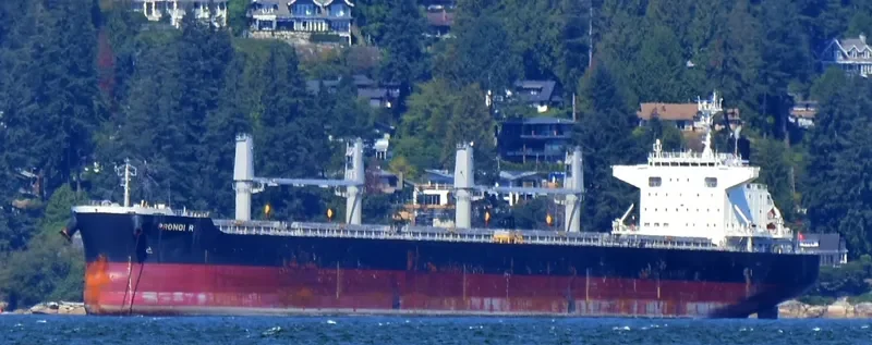 PRONOI R Bulk Carrier IMO 9602746 photo 8