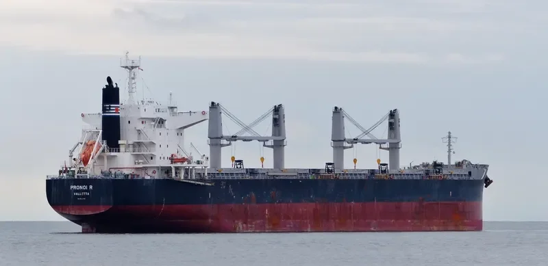 PRONOI R Bulk Carrier IMO 9602746 photo 9