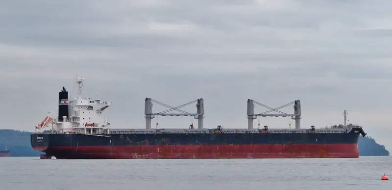 PRONOI R Bulk Carrier IMO 9602746 photo 10