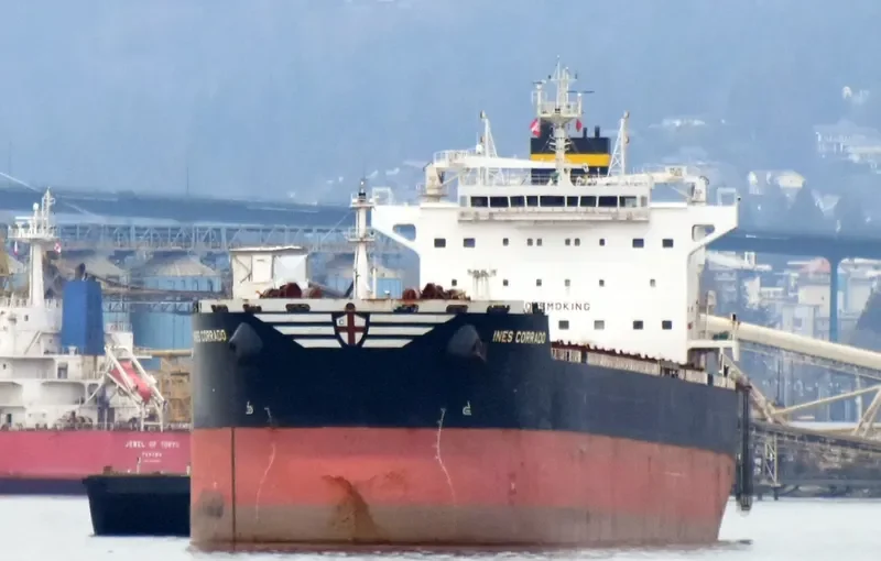 INES CORRADO Bulk Carrier IMO 9602772 photo 3