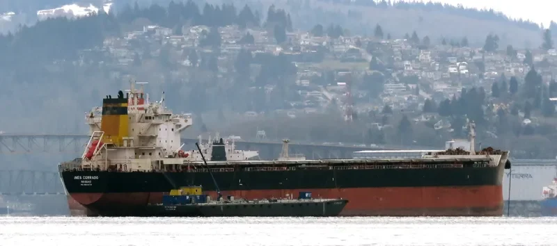 INES CORRADO Bulk Carrier IMO 9602772 photo 5