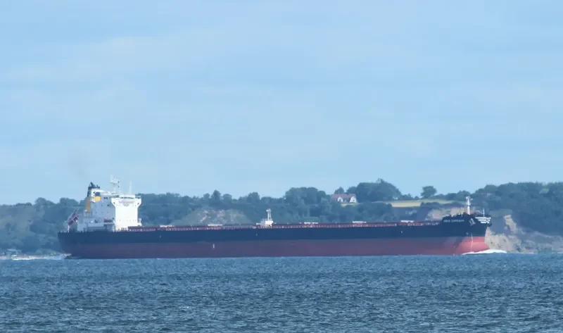 INES CORRADO Bulk Carrier IMO 9602772 photo 10