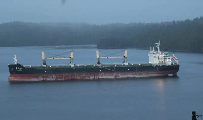 JIA HUI SHAN Bulk Carrier IMO 9602966 photo 6