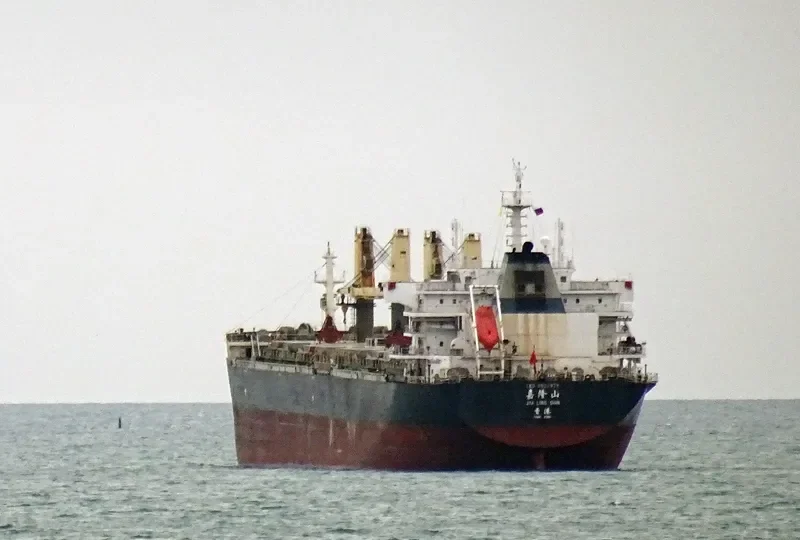 JIA LONG SHAN Bulk Carrier IMO 9602978