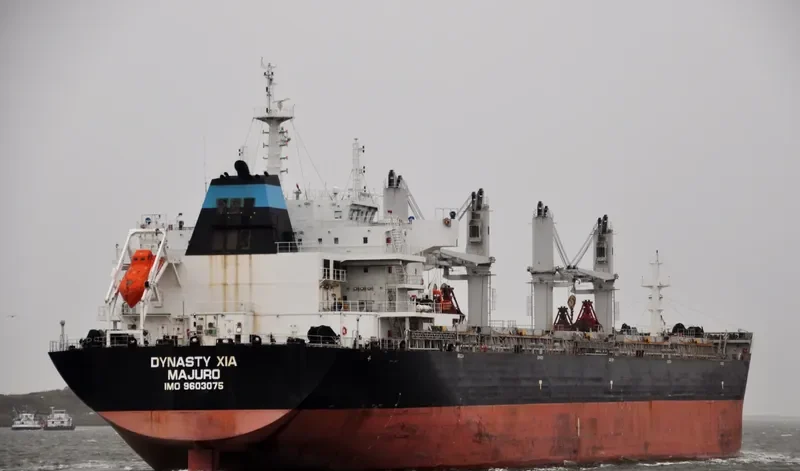 ZHONG CHANG JIN SHENG Bulk Carrier IMO 9603075 photo 2