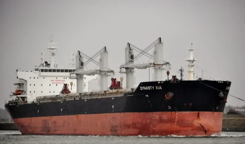 ZHONG CHANG JIN SHENG Bulk Carrier IMO 9603075 photo 3