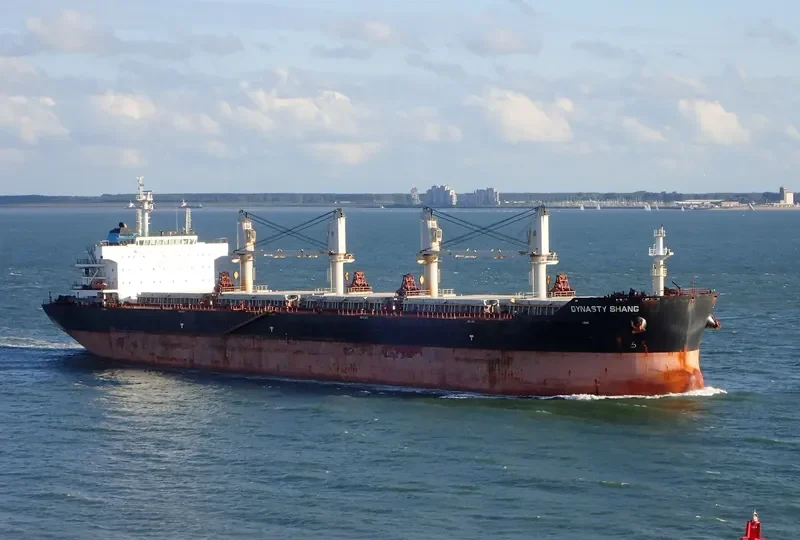 ZHONG CHANG XIN SHENG Bulk Carrier IMO 9603087