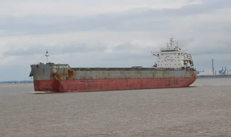 SEA NEPTUNE Bulk Carrier IMO 9603142 photo 4