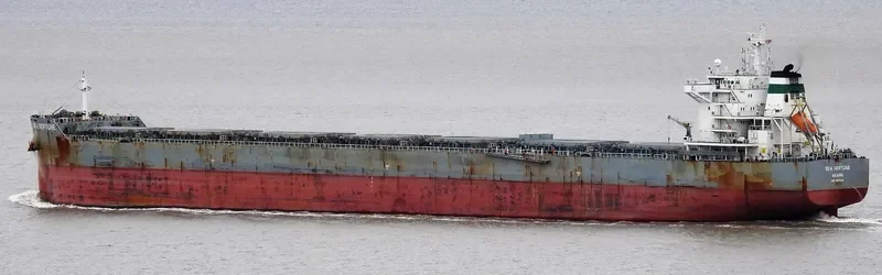 SEA NEPTUNE Bulk Carrier IMO 9603142 photo 6