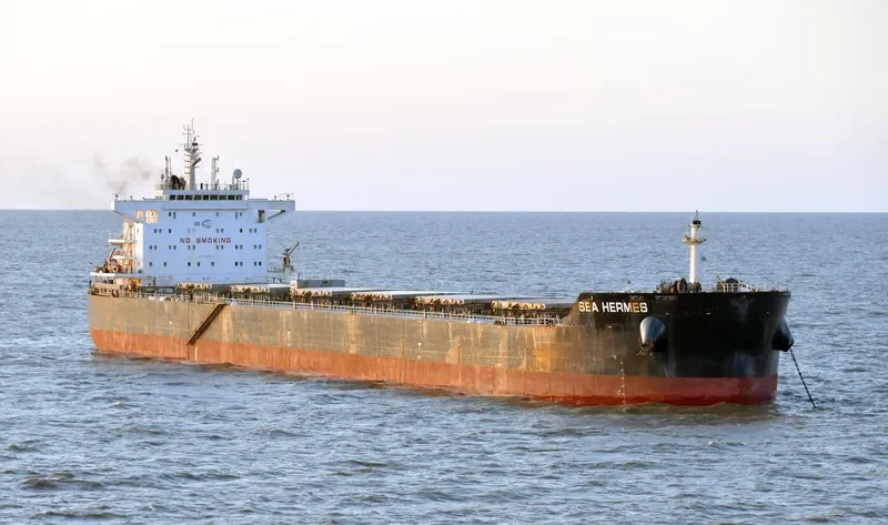 SEA HERMES Bulk Carrier IMO 9603154 photo 7