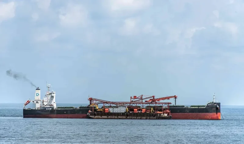 DENSA FLAMINGO Bulk Carrier IMO 9603283