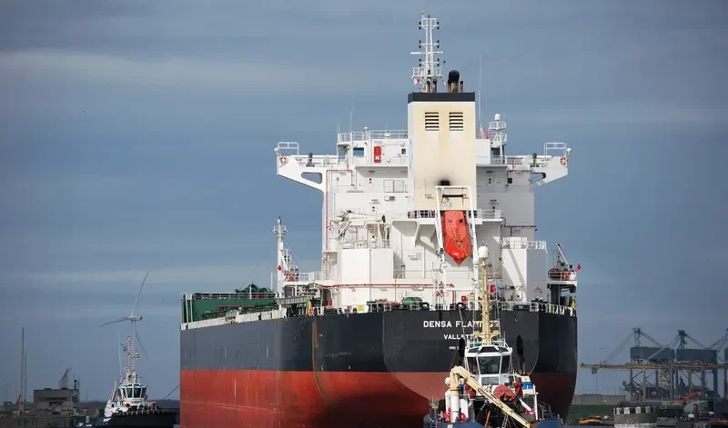 DENSA FLAMINGO Bulk Carrier IMO 9603283 photo 2