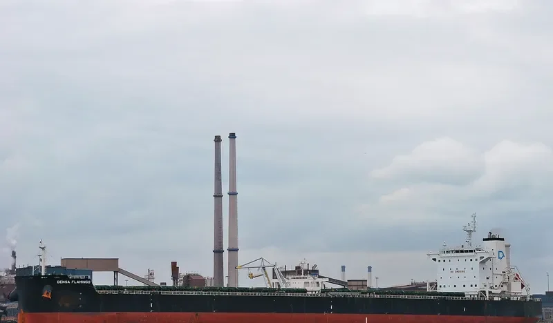 DENSA FLAMINGO Bulk Carrier IMO 9603283 photo 3