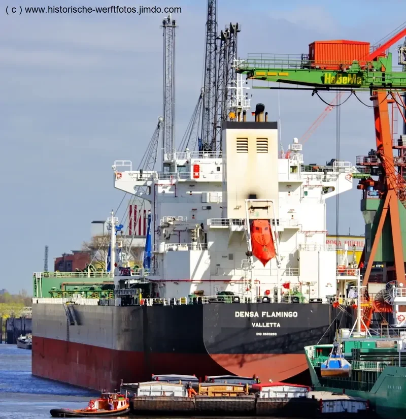 DENSA FLAMINGO Bulk Carrier IMO 9603283 photo 5
