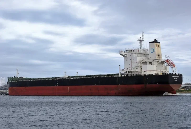 DENSA FLAMINGO Bulk Carrier IMO 9603283 photo 6